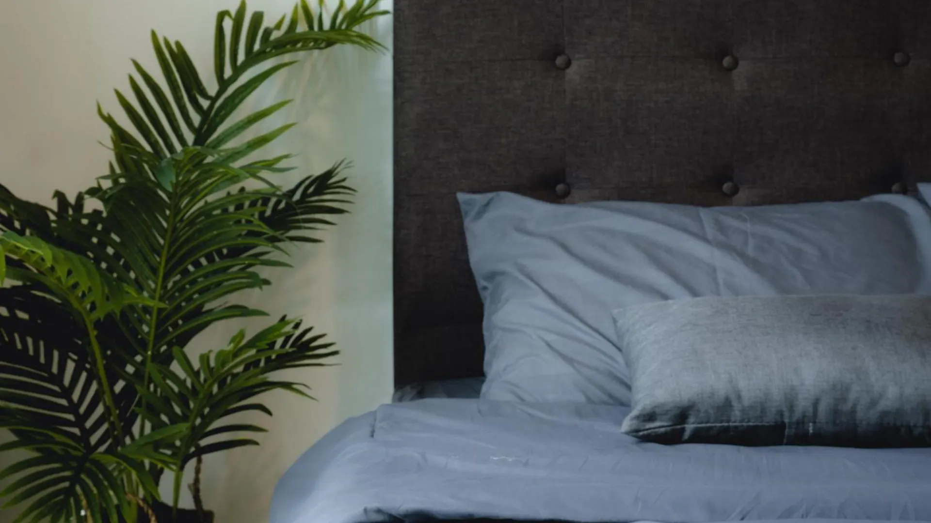 Mount Austin Manhanttan Sovo By Cactus Homestay Johor Bahru 0*,  Malasia